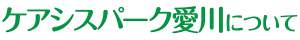 ケアシスパーク愛川について
