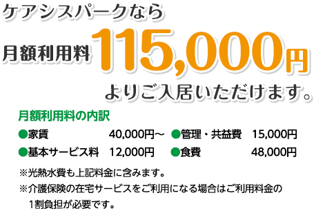 月額利用料115,000円～